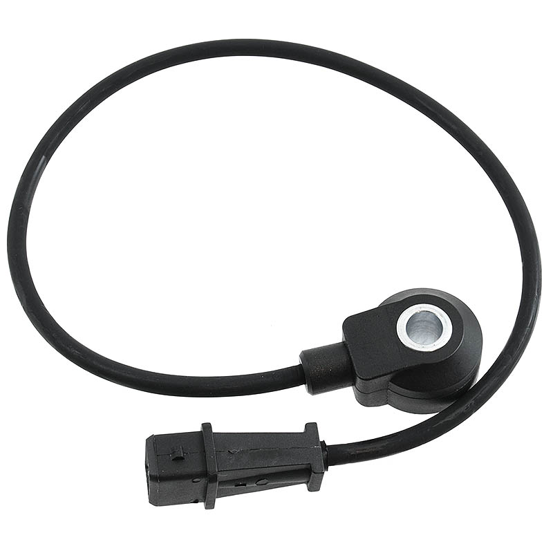 SP1 Knacksensor (Standard)